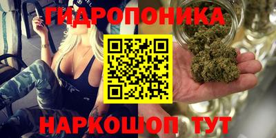 ешки Будённовск