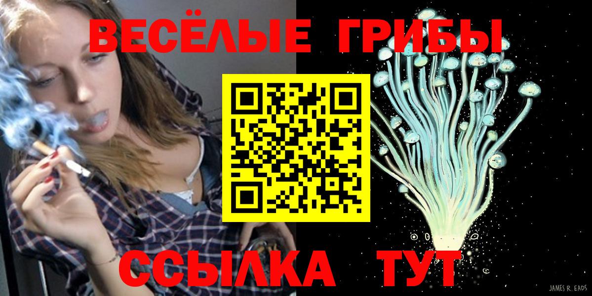 Псилоцибиновые грибы прущие грибы  Вход с VPN  Тула 